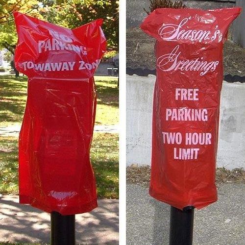 Parking Meter Hood